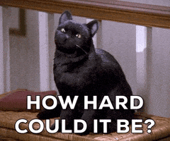 每日GIF(2021-08-18)的gif-Season 4 Cat GIF by Paramount+