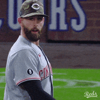 每日GIF(2021-08-19)的gif-Sport Yes GIF by Cincinnati Reds