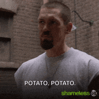 每日GIF(2021-08-20)的gif-Episode 9 Showtime GIF by Shameless