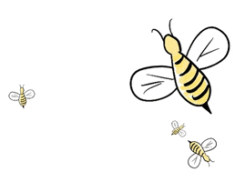 每日GIF(2021-08-22)的gif-Save The Bees GIF by pinotti
