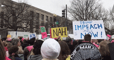每日GIF(2021-08-24)的gif-Washington Dc No GIF by Suze Perlov