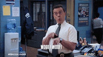 每日GIF(2021-08-28)的gif-Nbc Brooklyn 99 GIF by Brooklyn Nine-Nine
