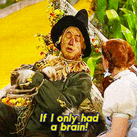 每日GIF(2021-09-02)的gif-Wizard Of Oz Dorothy GIF