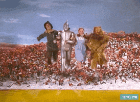 每日GIF(2021-09-02)的gif-Wizard Of Oz Dorothy GIF by Turner Classic Movies