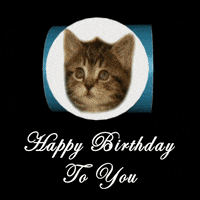 每日GIF(2021-09-02)的gif-Happy Birthday GIF