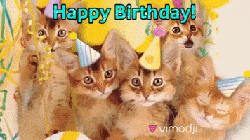 每日GIF(2021-09-05)的gif-Happy Birthday GIF by Vimodji