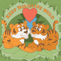 每日GIF(2021-09-05)的gif-Save The Earth Planet GIF by INTO ACTION
