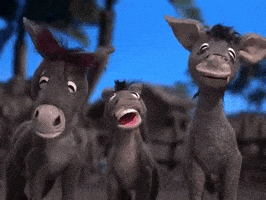 每日GIF(2021-09-06)的gif-Nestor The Long Eared Christmas Donkey Laughing GIF by Warner Archive