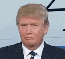 每日GIF(2021-09-08)的gif-Confused Donald Trump GIF