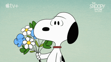每日GIF(2021-09-08)的gif-Confused Blink GIF by Apple TV