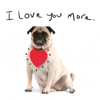 每日GIF(2021-09-09)的gif-I Love You Hearts GIF by GIPHY Studios Originals