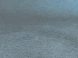 每日GIF(2021-09-10)的gif-Happy Birthday Splat GIF by GIPHY Studios Originals