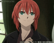 アニメ「魔法使いの嫁」【公式】的gif的gif-Untitled GIF