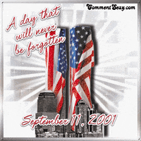 每日GIF(2021-09-12)的gif-Sexy September 11 GIF