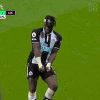 每日GIF(2021-09-18)的gif-Happy Premier League GIF by DAZN