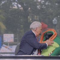 每日GIF(2021-09-19)的gif-College Sports Sport GIF by Florida Gators