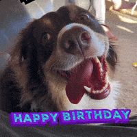 每日GIF(2021-09-19)的gif-Happy Birthday Love GIF by Yevbel