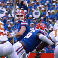每日GIF(2021-09-19)