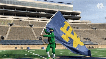 每日GIF(2021-09-19)的gif-Notre Dame Nd GIF by Notre Dame Fighting Irish