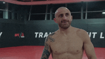 每日GIF(2021-09-22)的gif-Sport Mma GIF by UFC