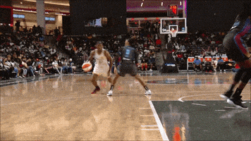 每日GIF(2021-09-22)的gif-Womens Basketball Sport GIF by WNBA