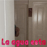每日GIF(2021-09-22)的gif-La Latino GIF by AsIf.tv