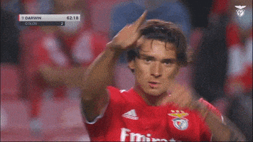 每日GIF(2021-09-23)的gif-Pointing At You Sl Benfica GIF by Sport Lisboa e Benfica