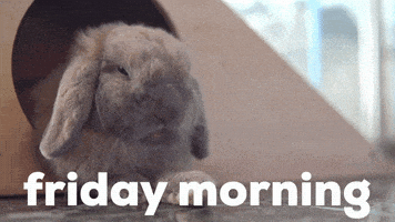 每日GIF(2021-09-25)的gif-Its Friday GIF by GIPHY Studios Originals