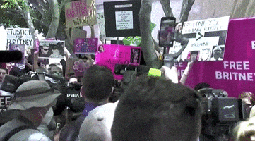每日GIF(2021-09-30)的gif-Rally Freebritney GIF by GIPHY News
