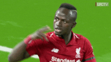 每日GIF(2021-10-04)的gif-Happy Premier League GIF by Liverpool FC