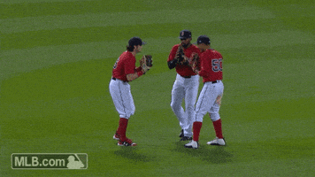 每日GIF(2021-10-06)的gif-Red Sox Win GIF by MLB