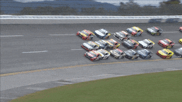 每日GIF(2021-10-09)的gif-Race Cars Racing GIF by NASCAR