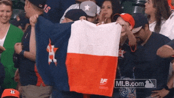每日GIF(2021-10-09)的gif-Houston Astros GIF by MLB