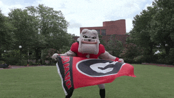 每日GIF(2021-10-10)的gif-Georgia Bulldogs Uga GIF by University of Georgia
