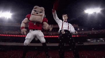 每日GIF(2021-10-10)的gif- 