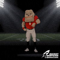 每日GIF(2021-10-10)的gif-Quicken Loans Win GIF by Rocket Mortgage