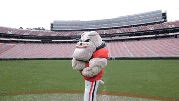 每日GIF(2021-10-10)的gif-Georgia Bulldogs Uga GIF by University of Georgia