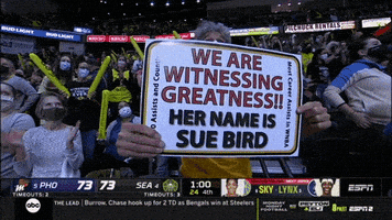 每日GIF(2021-10-11)的gif-Witnessing Wnba Playoffs GIF by WNBA