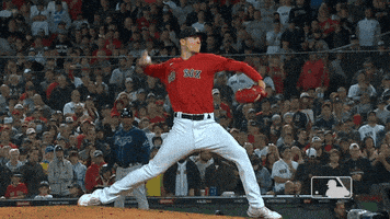 每日GIF(2021-10-13)的gif-Red Sox Sport GIF by MLB