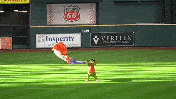 每日GIF(2021-10-13)的gif-Celebration Win GIF by MLB