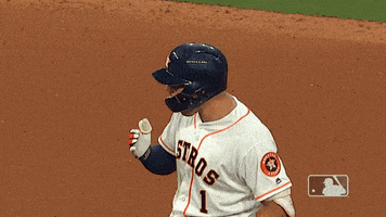 每日GIF(2021-10-13)的gif-Major League Baseball Sport GIF by MLB