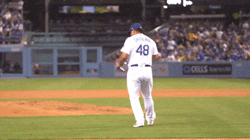 每日GIF(2021-10-14)的gif-Lets Go Sport GIF by MLB
