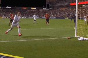 每日GIF(2021-10-16)的gif-Celebrate Like A Boss GIF by Major League Soccer