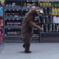 每日GIF(2021-10-16)的gif-Dance Clubbing GIF by Coop Prix - fort gjort!