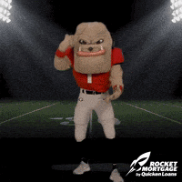 每日GIF(2021-10-17)的gif-Quicken Georgia Bulldogs GIF by Rocket Mortgage