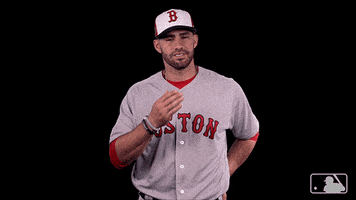 每日GIF(2021-10-17)的gif-Red Sox Sport GIF by MLB