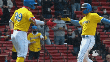 每日GIF(2021-10-17)的gif-Lets Go Baseball GIF by MLB