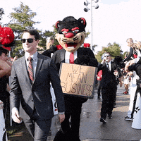每日GIF(2021-10-17)的gif-College Football GIF by Cincinnati Bearcats