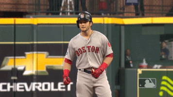每日GIF(2021-10-17)的gif-Red Sox Sport GIF by MLB