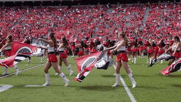 每日GIF(2021-10-17)的gif-College Football Uga GIF by University of Georgia